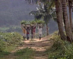 Horizon_Oikocredit