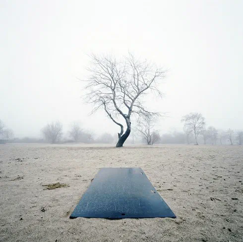 Winterbomen2-kopie_000