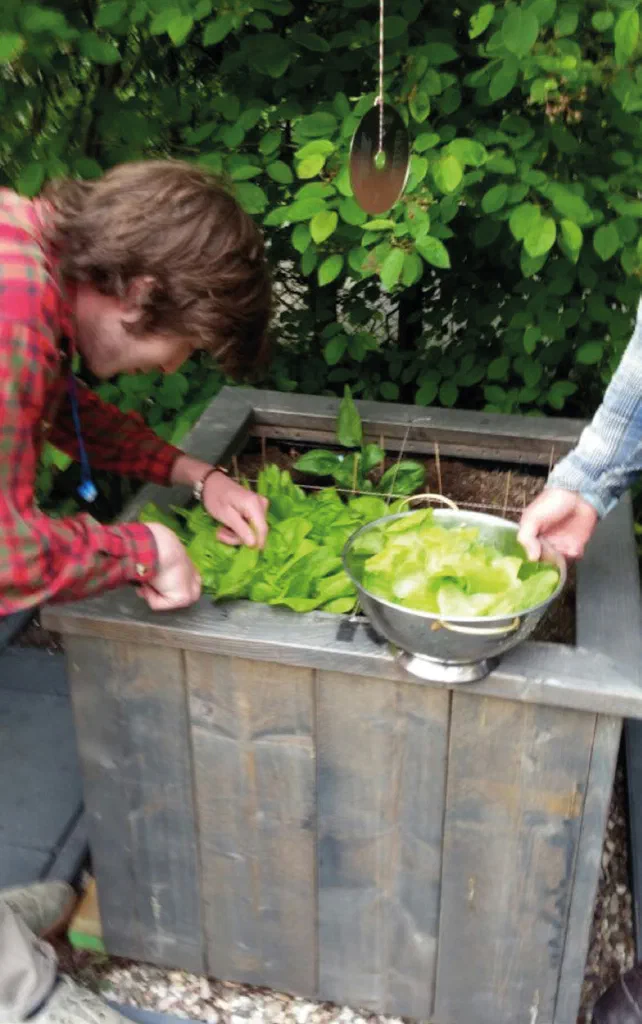 Vrijburg-moestuin
