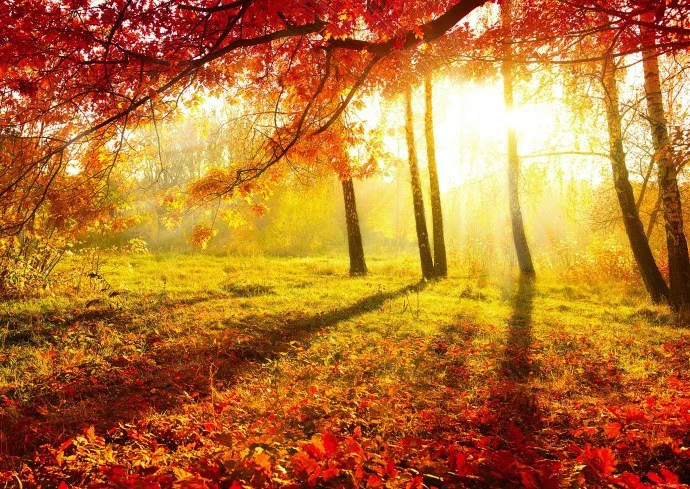 Ruimte voor aandacht: mindfulness meditatie