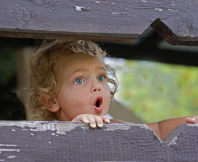 verWONDERing