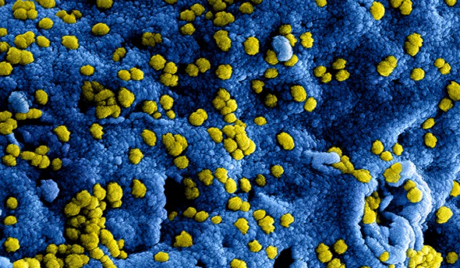Uitbreiding maatregelen Vrijburg tbv coronavirus