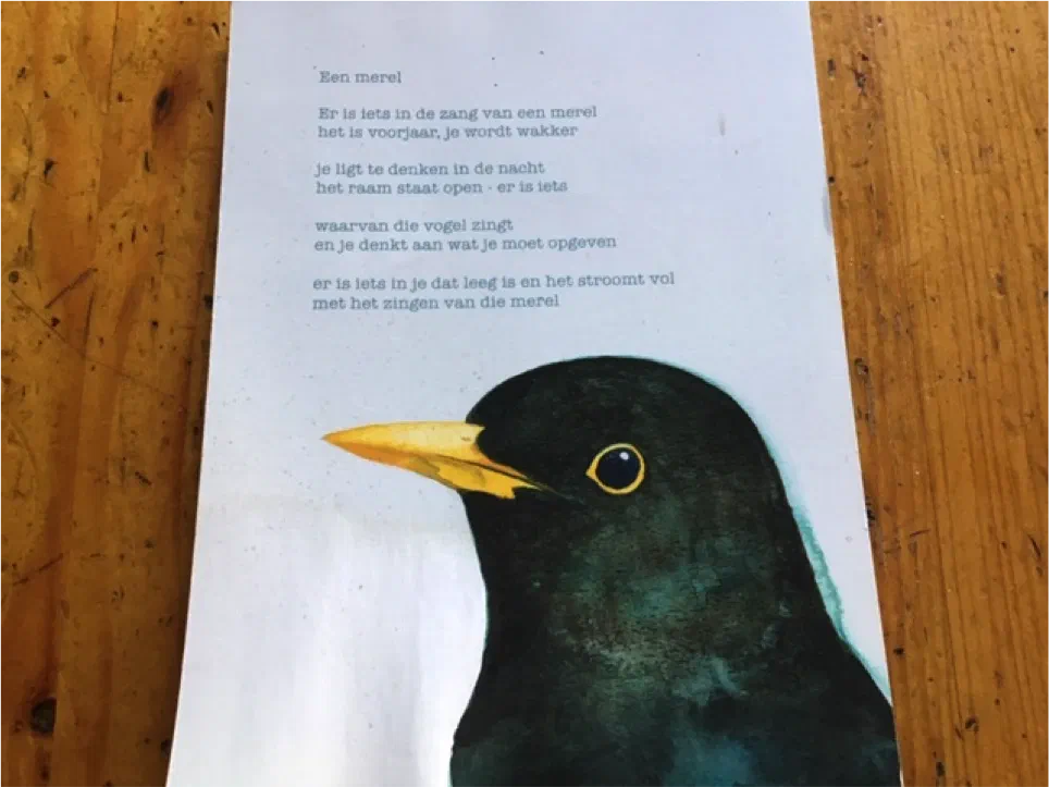 Bijdrage van Sabine van der Does #32