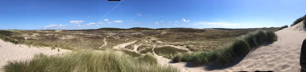 Bijdrage van Dik Mook #60