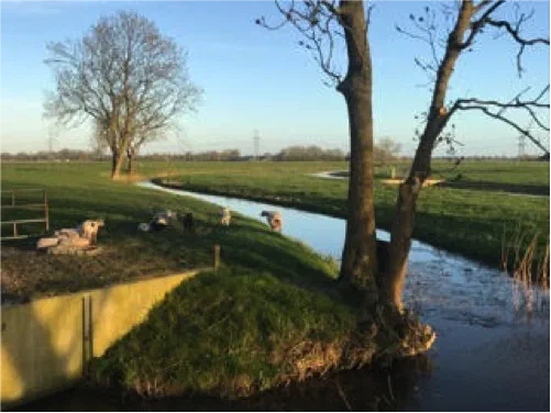 Bijdrage van Margot Brouwer #51