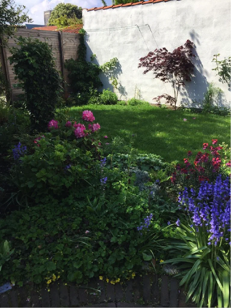 Vrijzinnige miniatuur #11