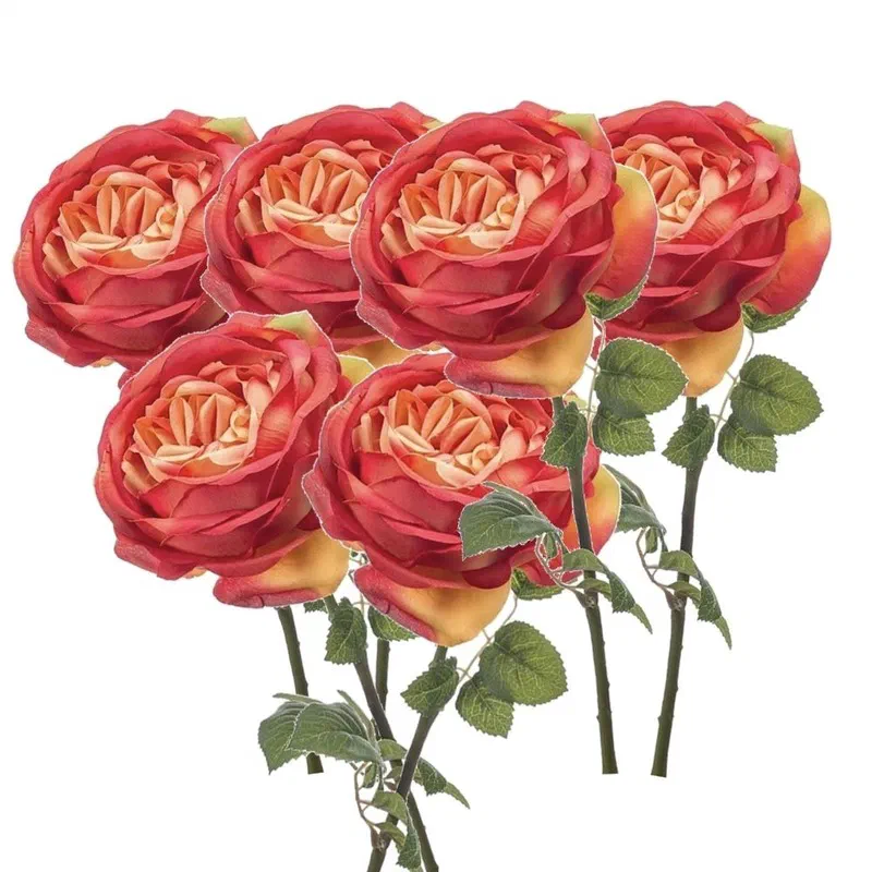 Vrijzinnige miniatuur #36