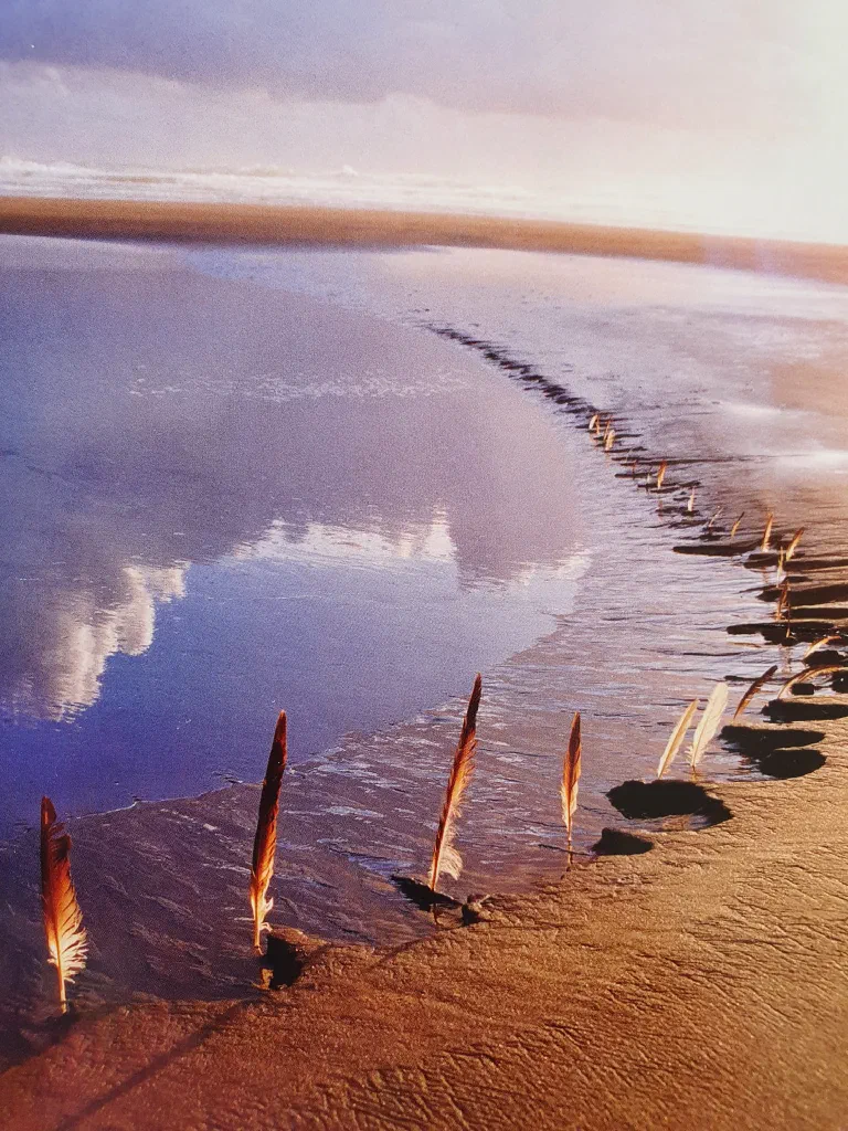 20 september 18.30 uur Diner Pensant over de vraag ‘wanneer is een relatie een duurzame relatie?’