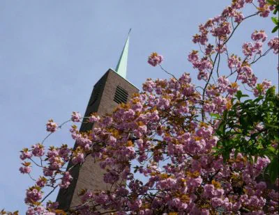 Vrijburg zoekt nieuwe predikant (bijgewerkte versie)
