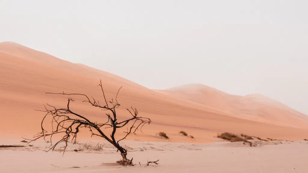 The Lent Podcast serie, part 7