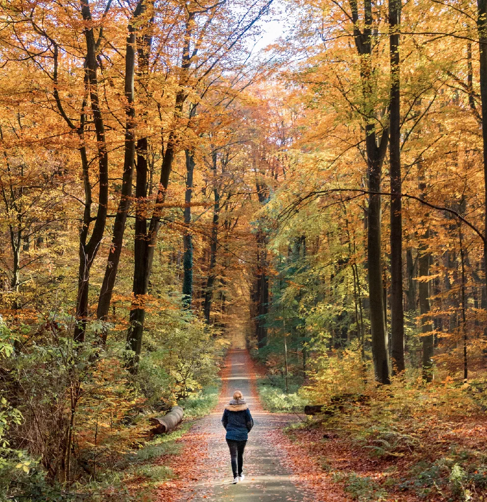 Wandelen #262